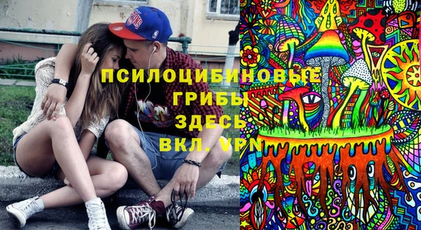 мдпв Армянск
